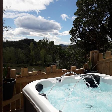 Cocoon Gites 2-4 Ou 6 Pers Avec Jacuzzi Entre Anduze Et Ales Carnoules  Exterior foto